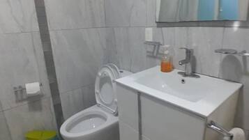 Shower, towels, soap, toilet paper