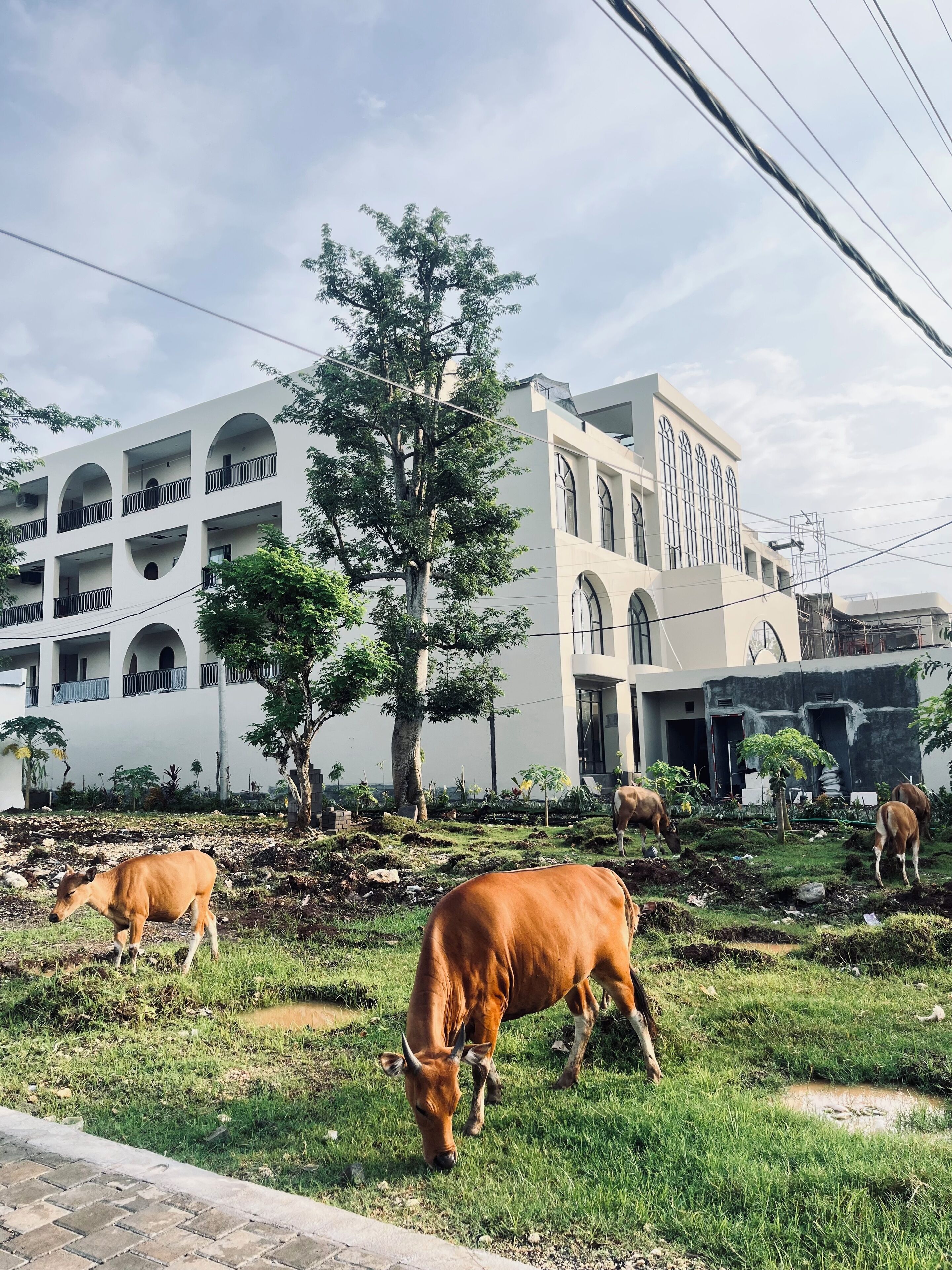 Bagian depan properti