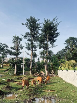 A szálláshely homlokzata