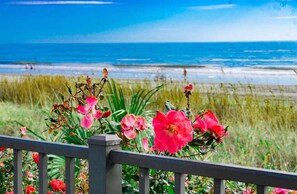 A coastal view with a railing, pink flowers, and the ocean in the background. - Bluewater 821 (Myrtle Beach)