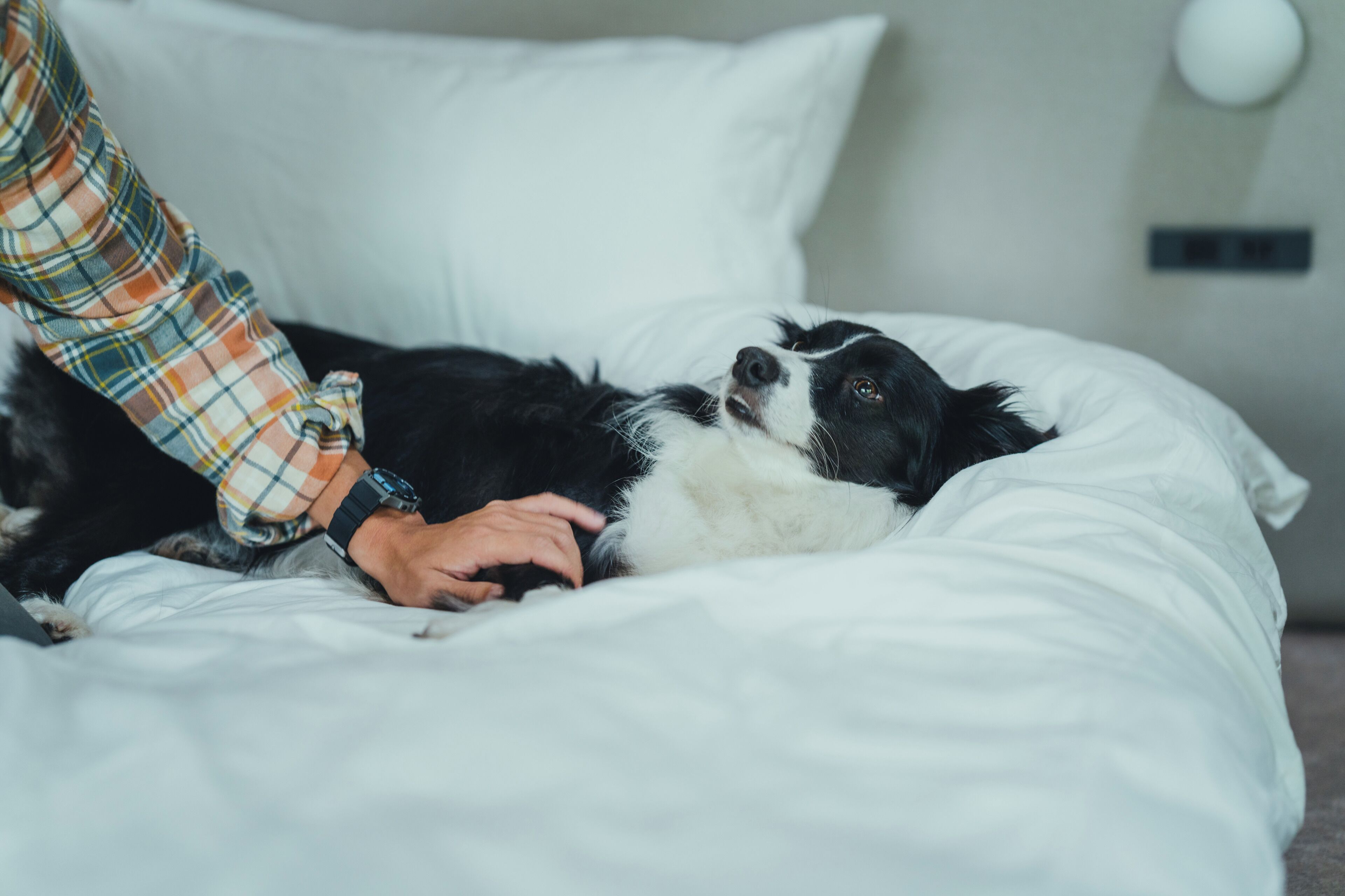 Schreibtisch, laptopgeeigneter Arbeitsplatz, kostenloses WLAN