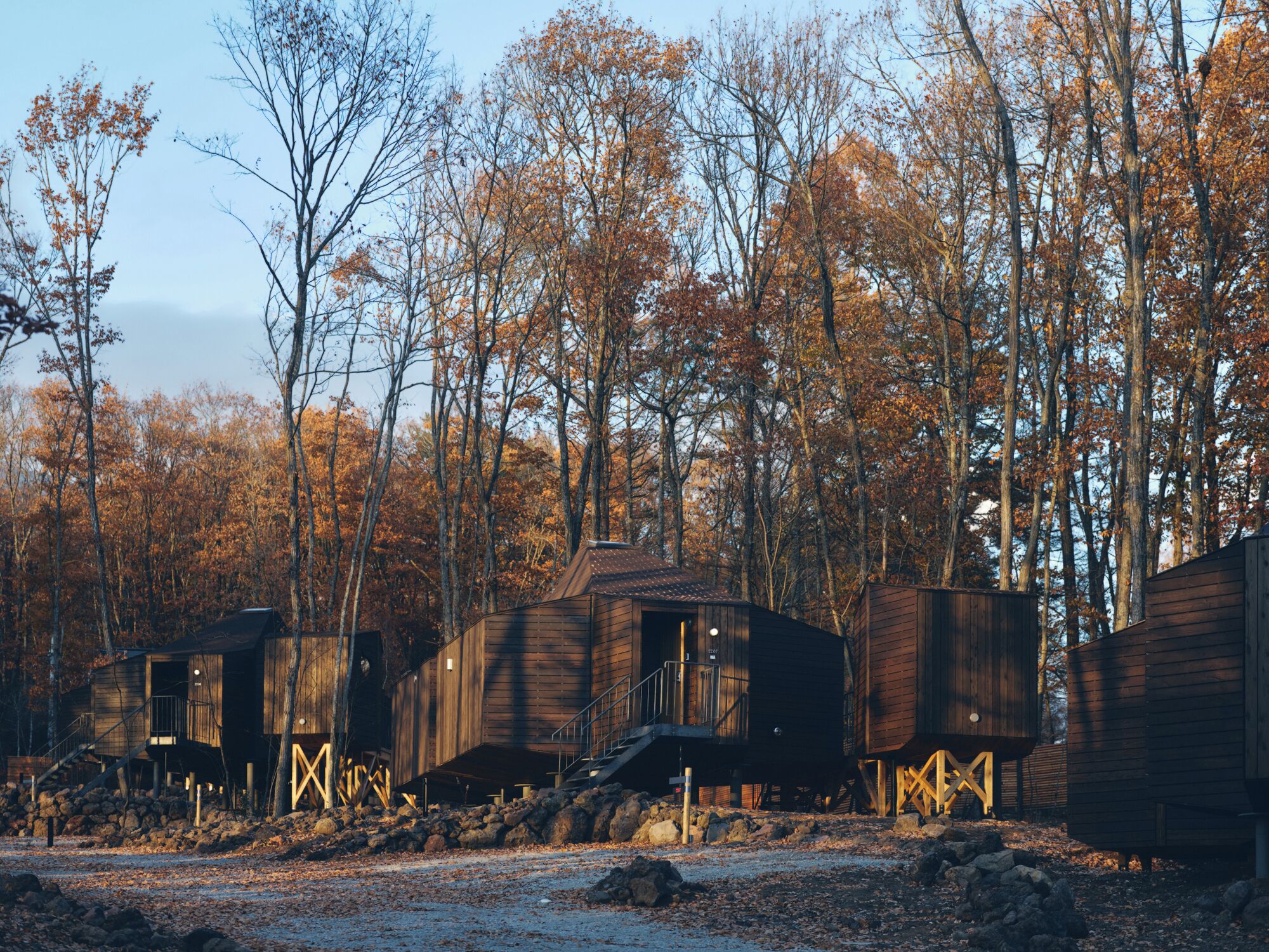 A row of wooden cabins in a forest.