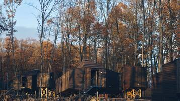 A row of wooden cabins in a forest.