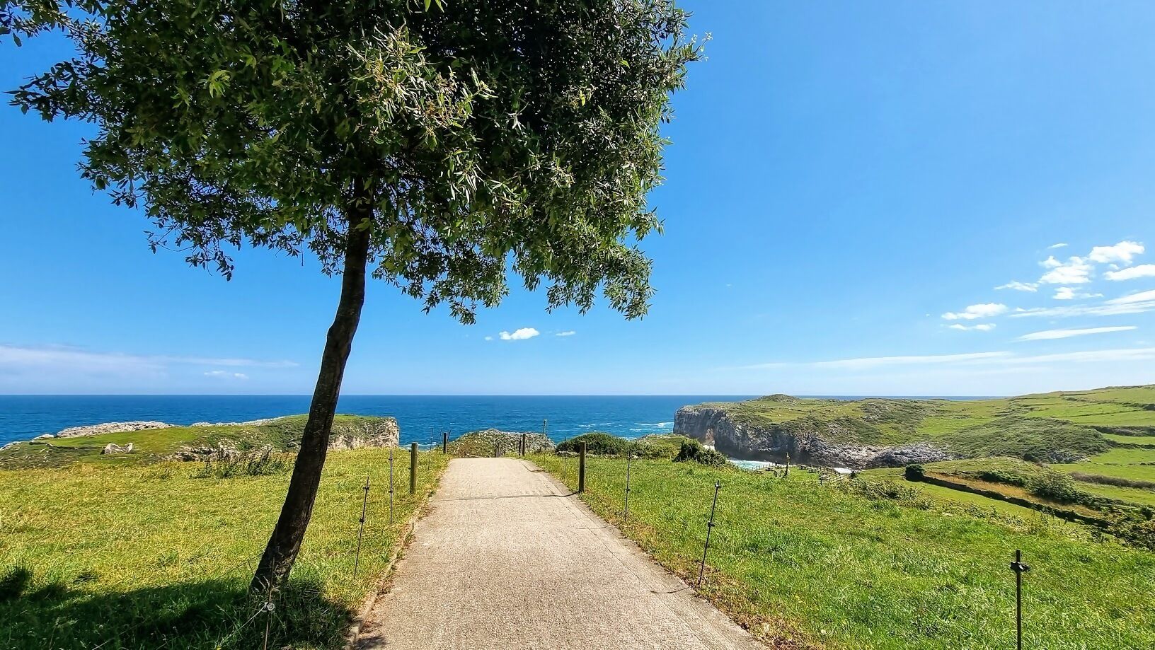 A pathway leading to a coastal view with a cliff and grassy landscape.