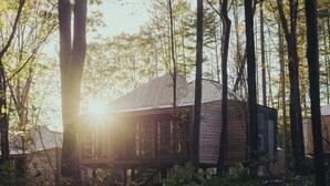 Una cabaña en un bosque con fachada de madera y una escalera metálica que lleva a una terraza.