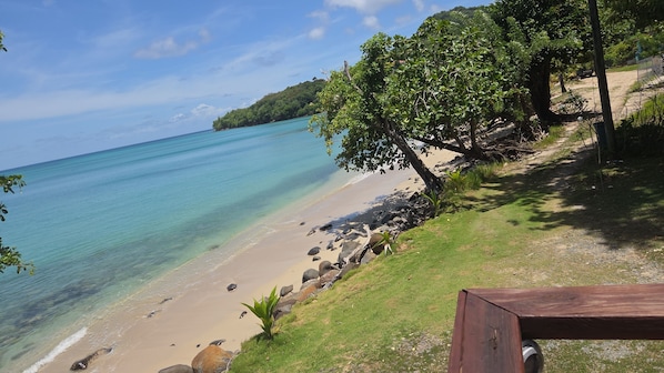 A beach with clear turquoise water, a sandy shore, and a grassy area with trees.