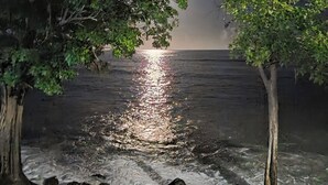 A nighttime view of a calm body of water reflecting light, surrounded by trees and rocks.