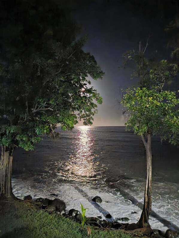A nighttime view of a calm body of water reflecting light, surrounded by trees and rocks.