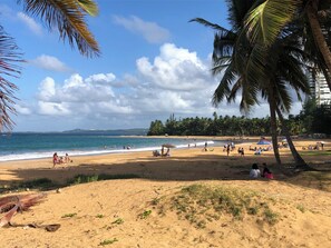 Beach towels - A Private Paradise by the Rainforest in Sunny Luquillo (Pitahaya)