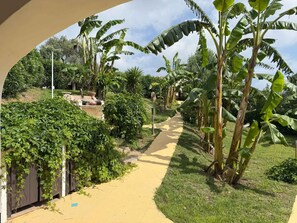 Property grounds - Holiday home with air conditioning (Punta de Su Turrione)