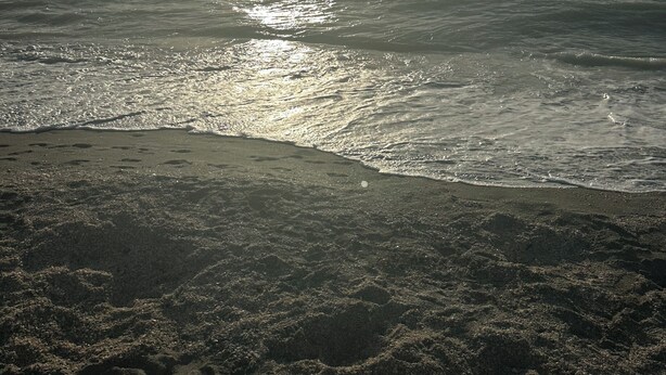 A beach with the sun reflecting off the water. - Escape to "Warm Mineral Springs"a Place Where You Can Relax And Heal your body. (North Port)