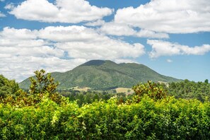 Unclassified image, 3 of 23, button - Thomson's Nook - Taupo (Taupo)
