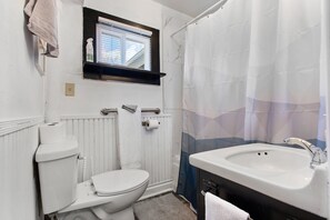 A bathroom with a toilet, sink, and shower curtain. - Oconto Hideaway- Mid/Long term stays welcome! (Oconto)