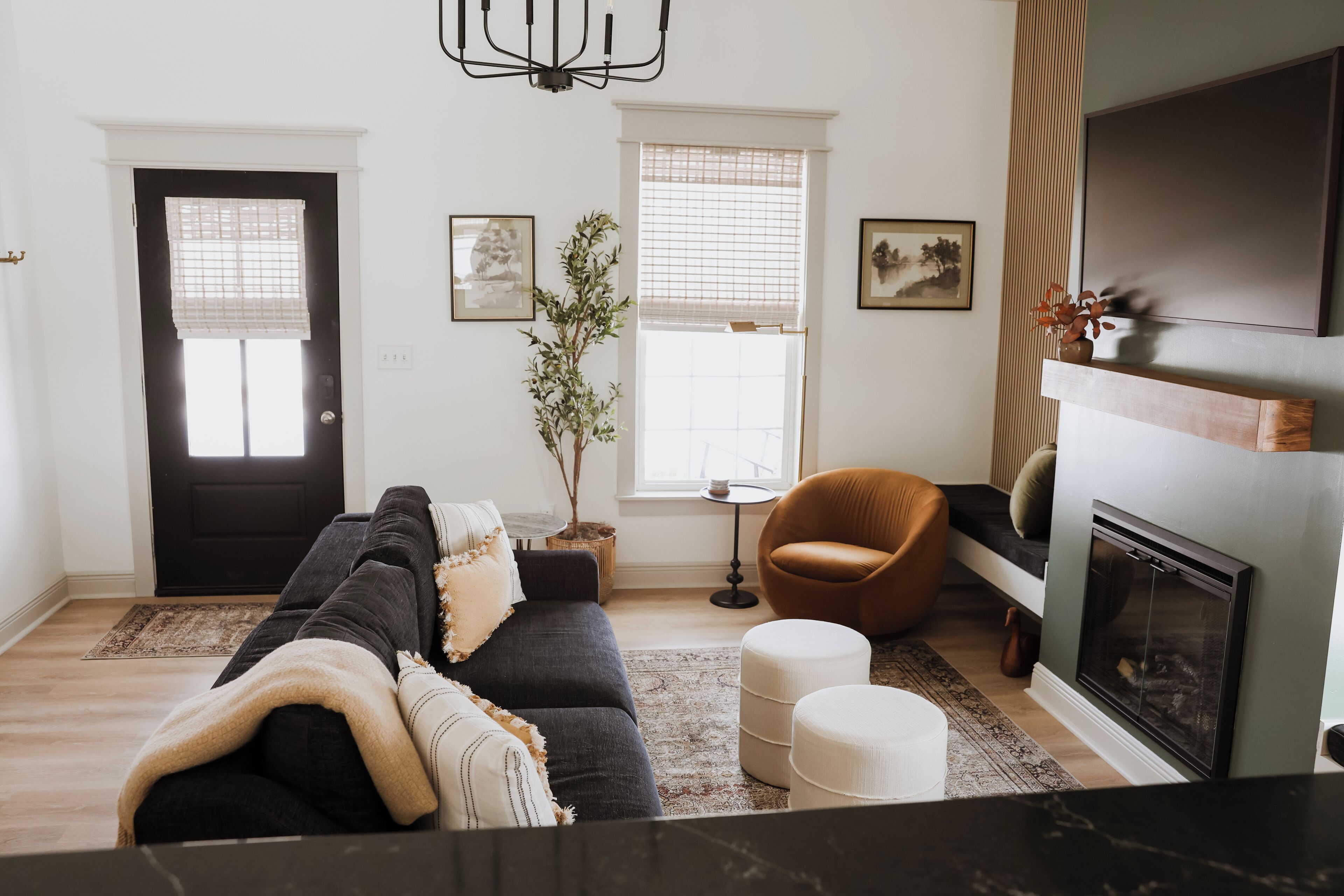 TV, fireplace