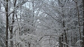 A snow-covered forest with two cabins, one on each side of a snow-laden path. - Cozy 2-Person cabin in charming Parish with AC for relaxing stays (Parish)