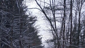 A snowy residential area with houses and trees. - Cozy 2-Person cabin in charming Parish with AC for relaxing stays (Parish)
