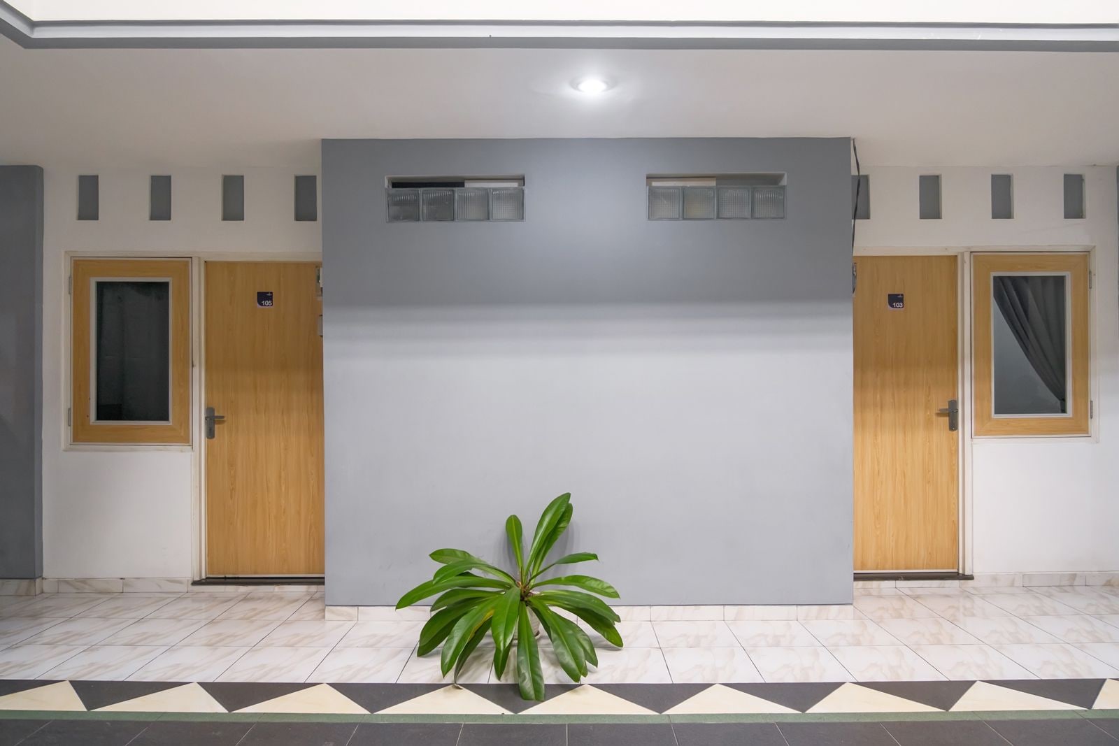 A room with two wooden doors, a large grey wall, and a potted plant.