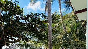 A beach with palm trees and a clear view of the ocean. - Lamai Beachnest Bunaglows (Koh Samui)