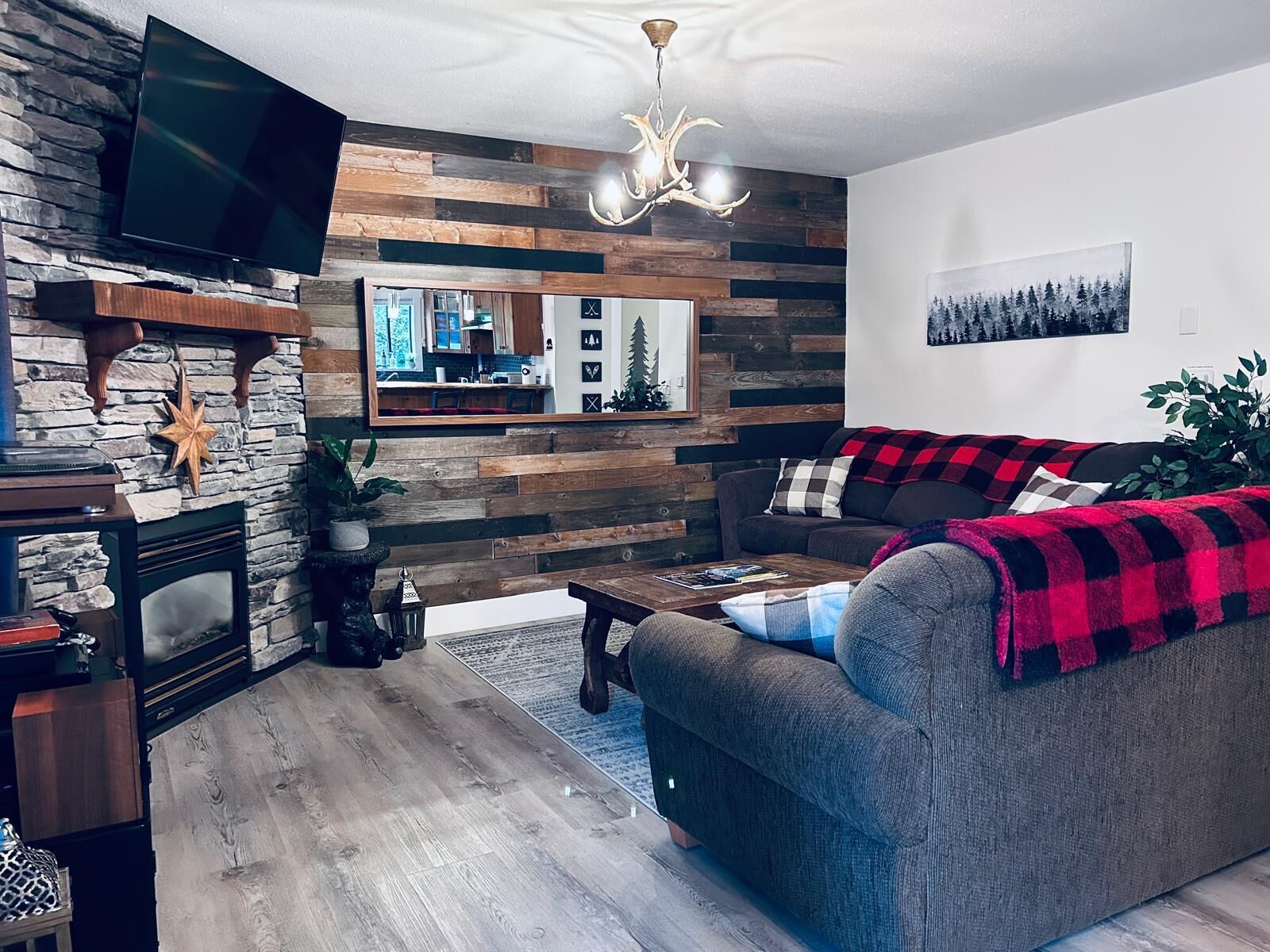 Smart TV, fireplace, video games, DVD player