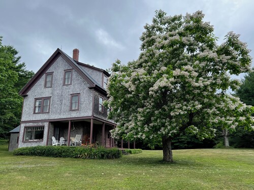 Historic 7-bedroom house in Sebago perfect for family gatherings.