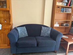 TV, lettore DVD, libri, videoteca