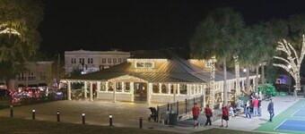 3-bedroom house in peaceful Mount Dora with cozy charm