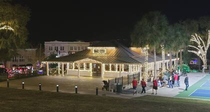 3-bedroom house in peaceful Mount Dora with cozy charm