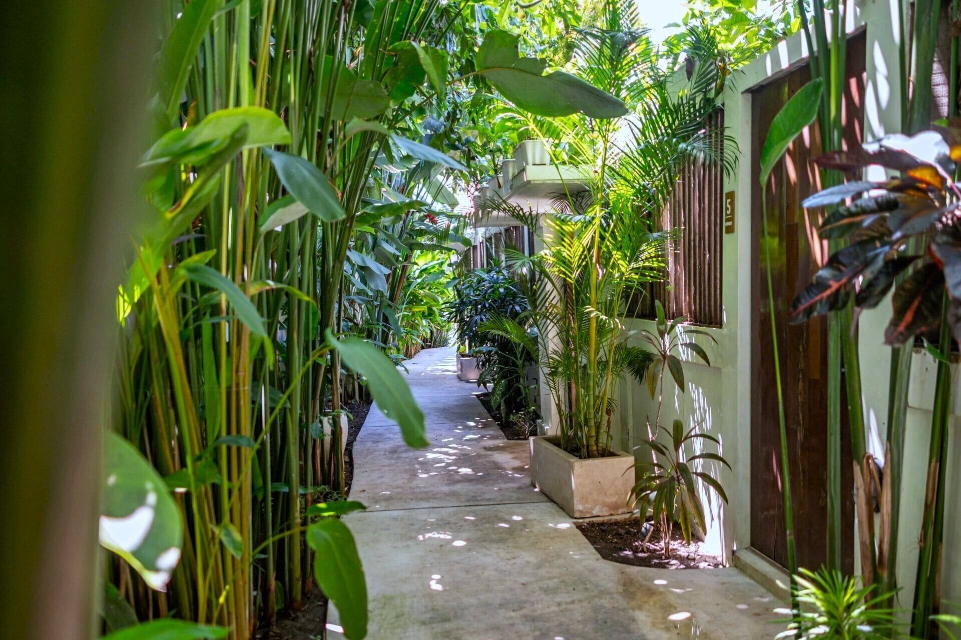 Jardim