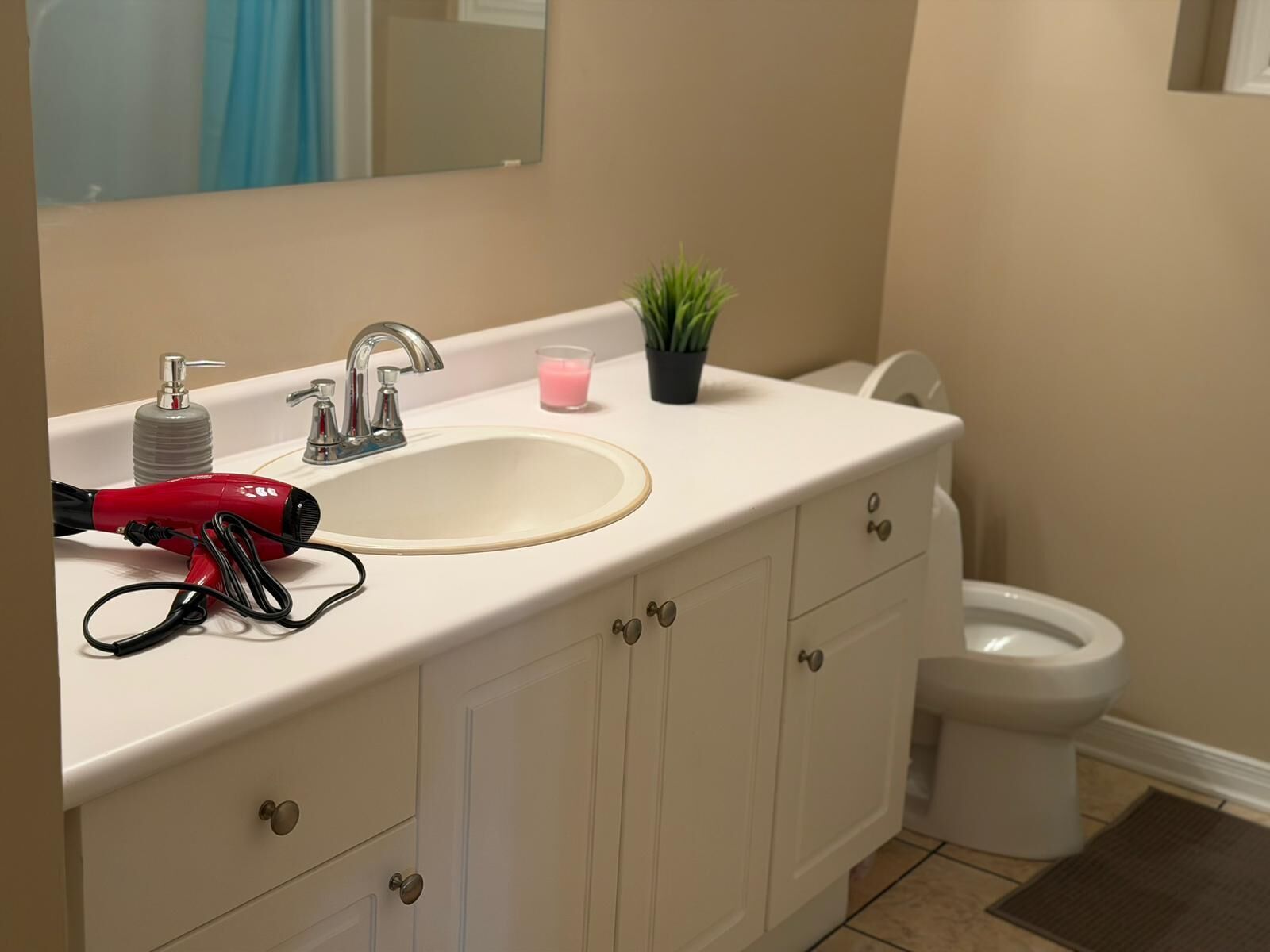 Une salle de bain avec un lavabo blanc, un sèche-cheveux rouge, une petite plante en pot et des toilettes.