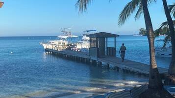 Um cais com barcos, uma praia com espreguiçadeiras e uma palmeira.