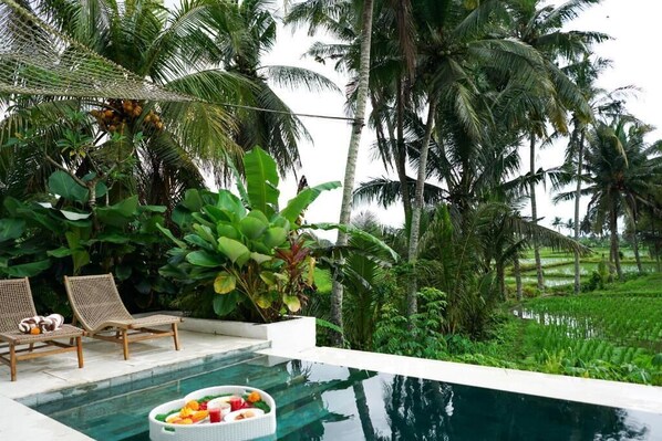 Kolam renang terbuka