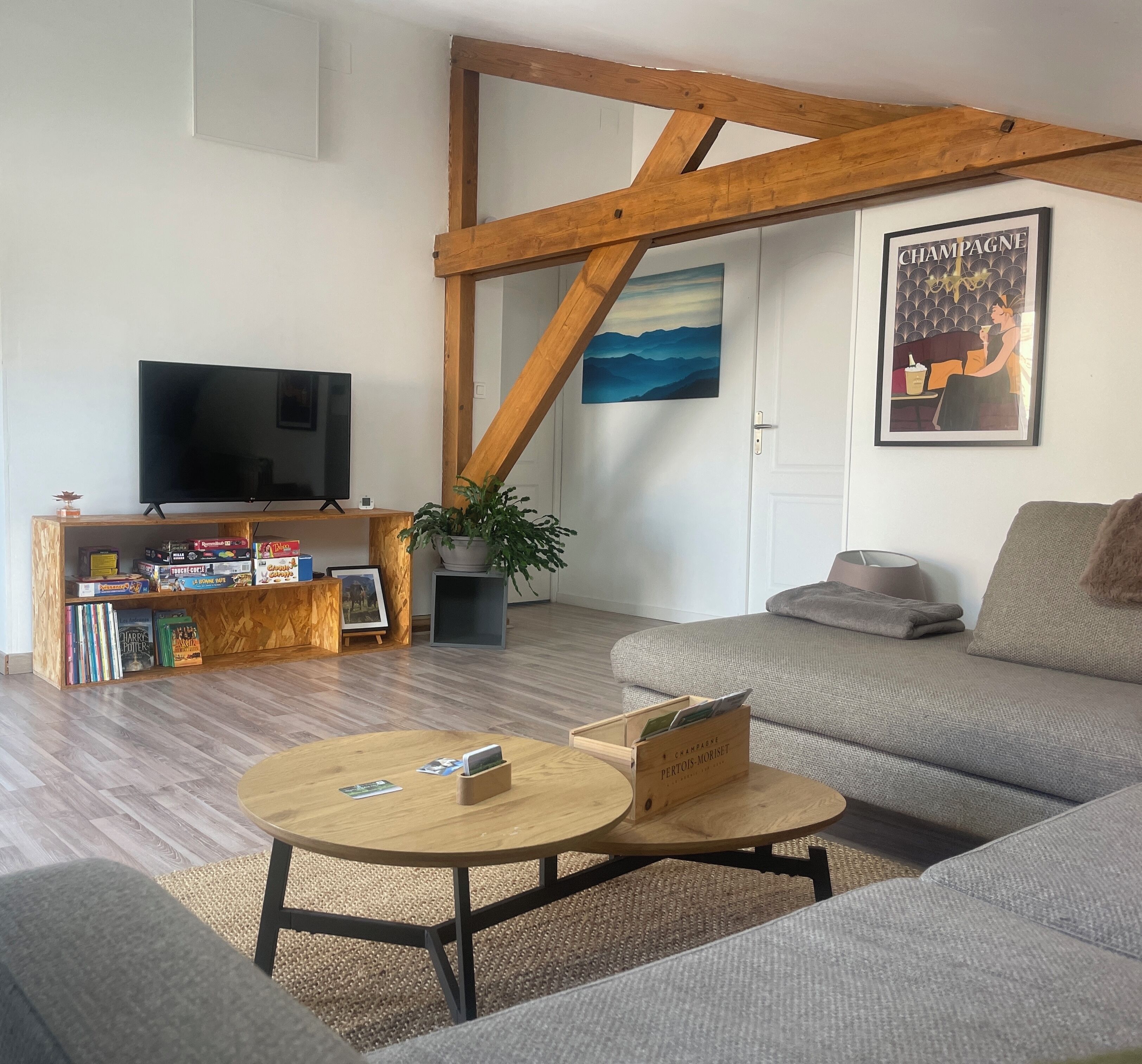 TV connectée, table de tennis de table, livres