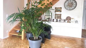 A staircase with wooden railings and a potted plant at the bottom. - Modern, well-kept and cozy vacation apartment in Donaustauf near Regensburg 3 bedrooms (Donaustauf)