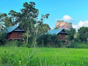 Exterior - Sigiri Paddy Field Hut (Sigiriya)