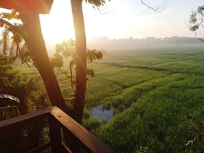 Overnatningsstedets område