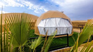 A geodesic dome structure with a white curtain, surrounded by palm plants and a clear sky. - Desert Rose Village  (Ramlat Sweihan)
