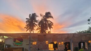 A beachside bar named 'Lost Soles Lodge' with a signboard, outdoor seating, and palm trees in the background. - Lost Soles Lodge (Jambiani)