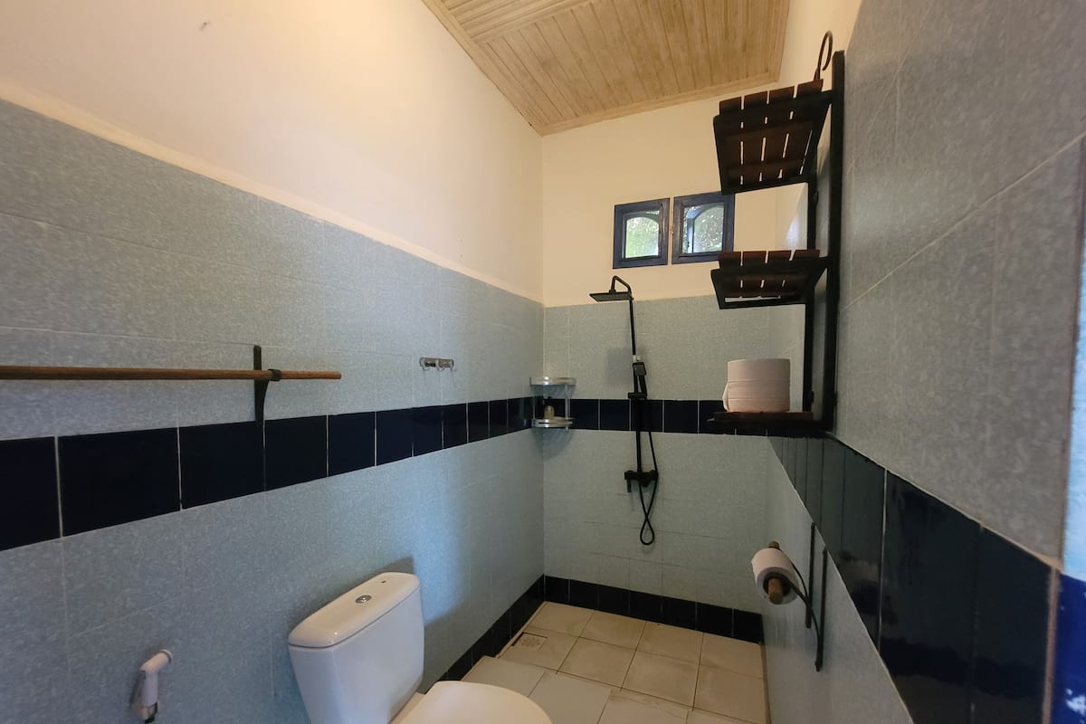 Ducha, toallas, jabón, papel higiénico