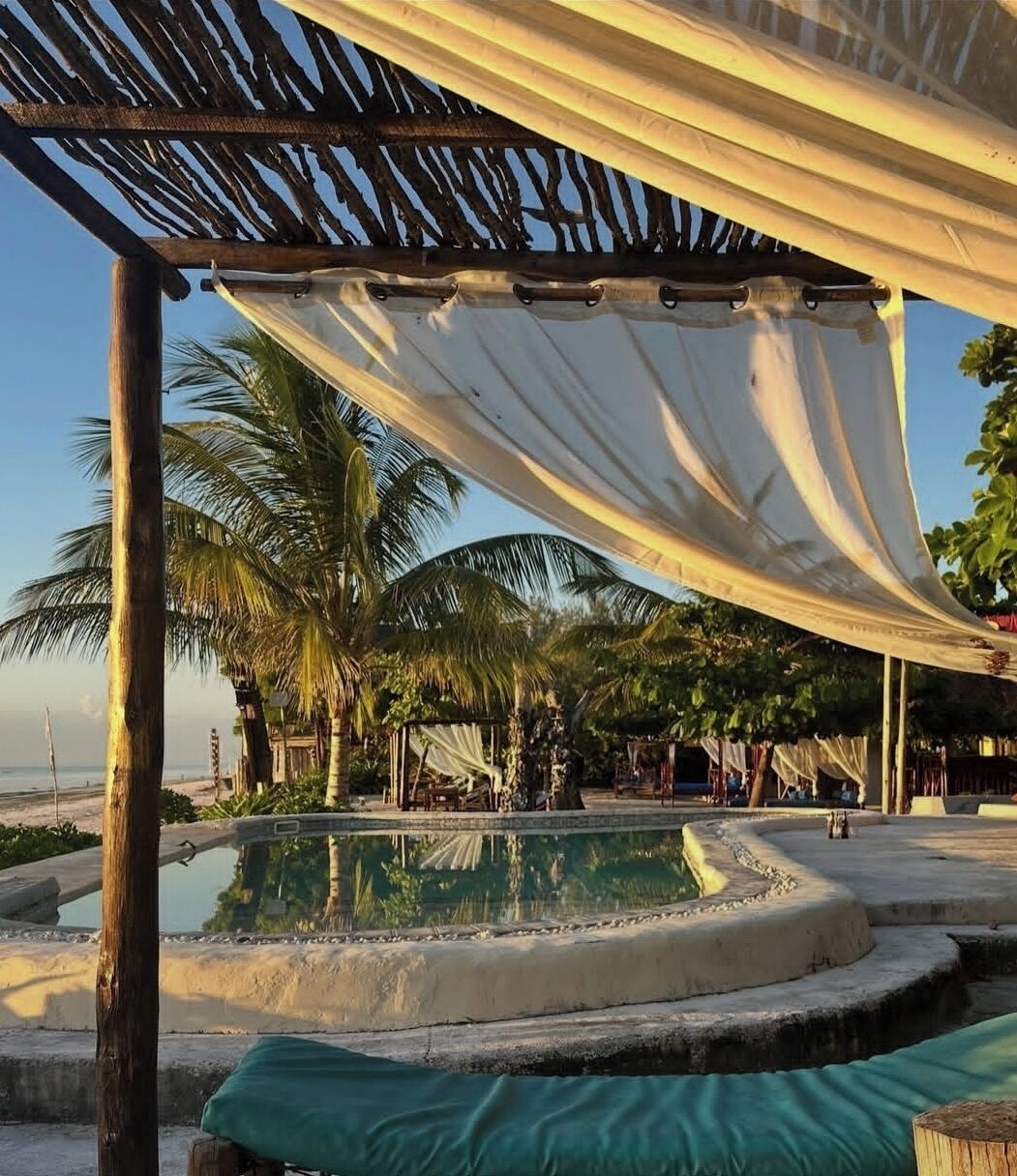 A pool area with a pergola structure, palm trees, and a clear sky.