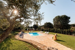 House - Trullo Delle Stelle With Private Pool (Ostuni)
