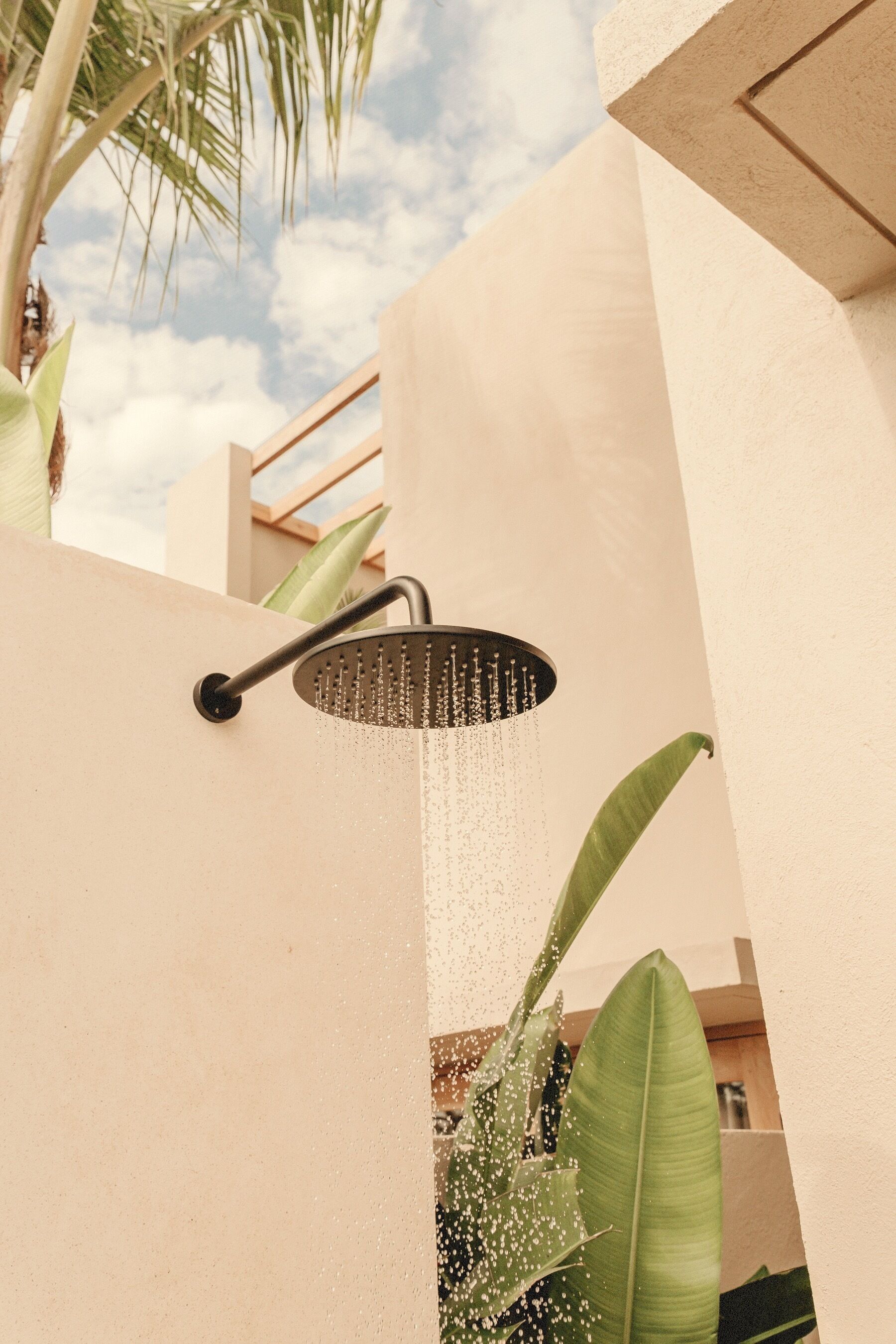 A modern showerhead with water flowing, surrounded by a beige wall and large green leaves.