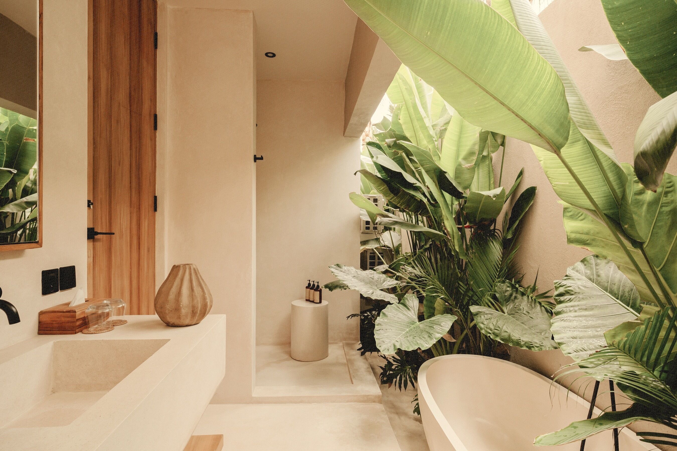A modern bathroom with a large sink, wooden door, and various plants.