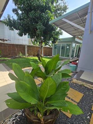 独立别墅, 3 间卧室, 吸烟房 | 外观细节