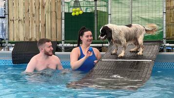 Bungalow, 1 Bedroom, Balcony | Pool