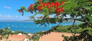 Une vue sur la côte, avec des voiliers, une végétation luxuriante et des bâtiments aux toits de tuiles rouges.