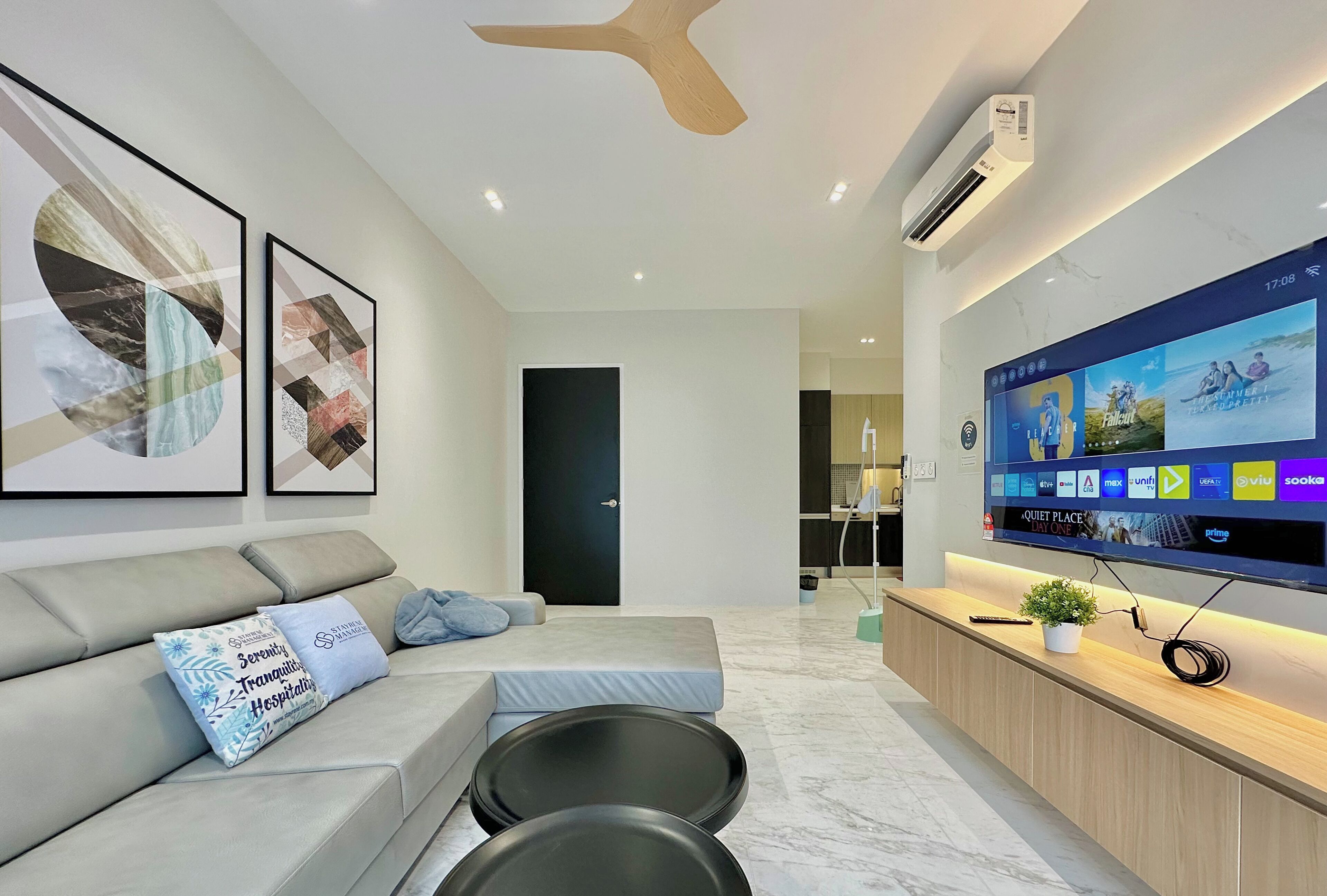 Flat-screen TV