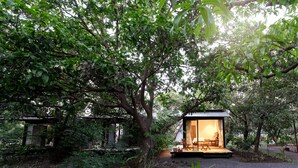 A secluded cabin with a wooden deck and a glass door, surrounded by dense foliage. - MRUDA FARMSTAY (Dahanu)