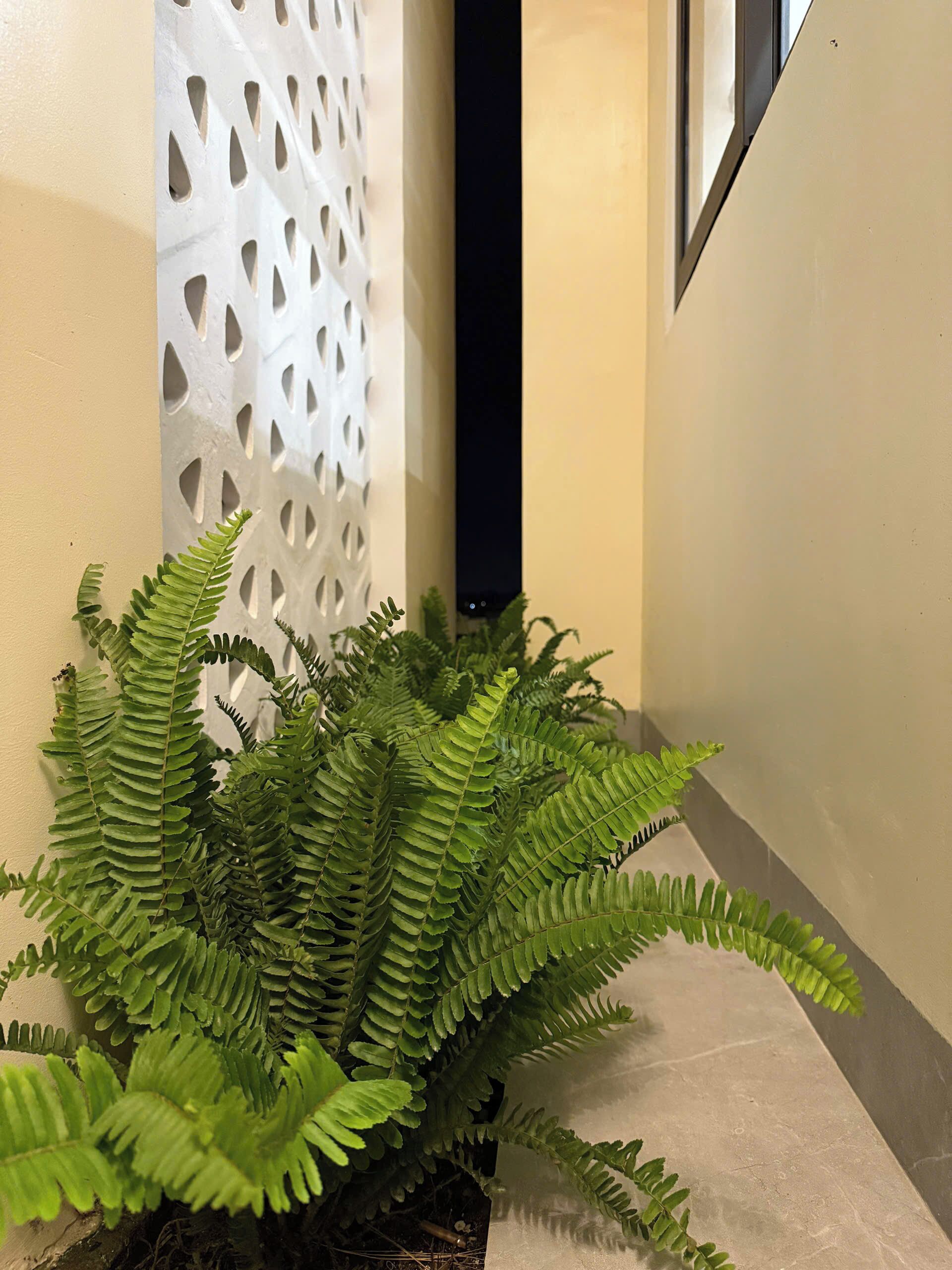 المنطقة المحيطة بالمنشأة