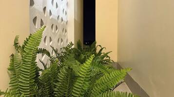 Superior Double Room, City View | Property grounds