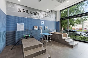 A dog spa facility with a blue tiled wall, a 'Splash Zone' sign, a dog grooming table, and a view of the outside through large windows. - Midtown Gem Steps to Uptown & Queens University! (Charlotte)